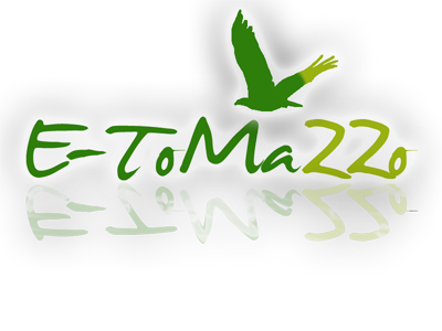 Logo E-ToMaZZo